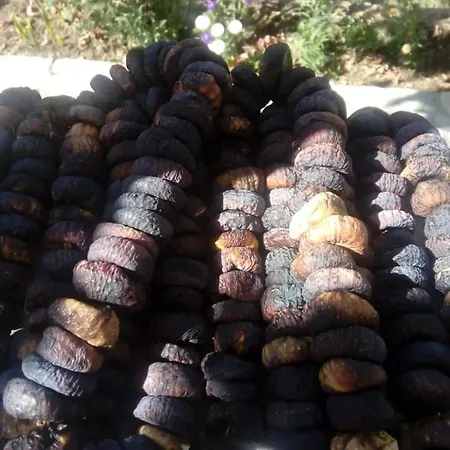 Vila Art * Libohove